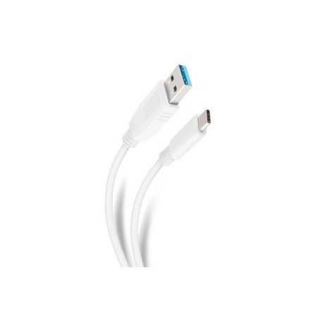 Cable USB 3.1 a USB C de 2 m